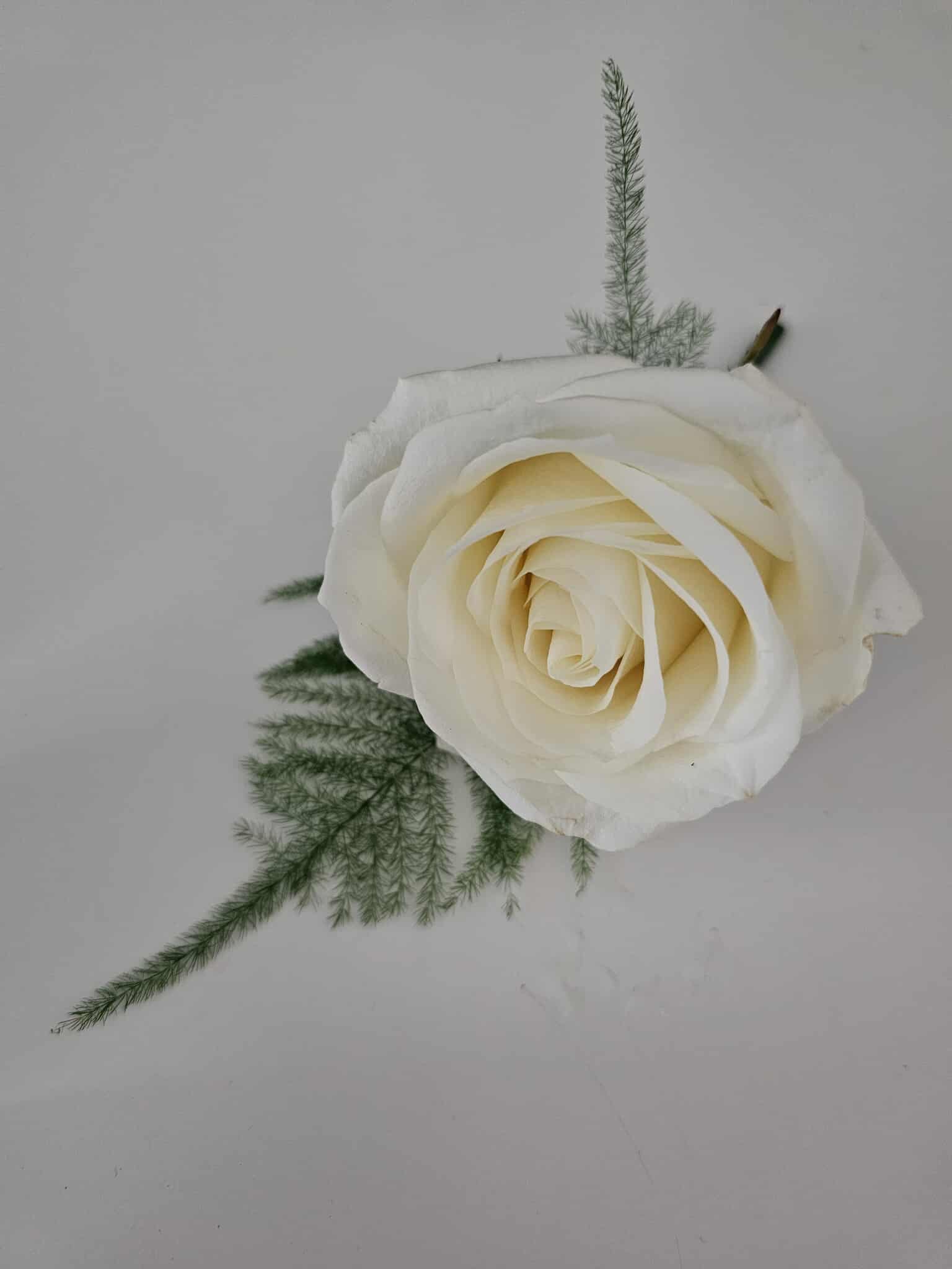 A romantic bridal bouquet I created at Making It Bloom